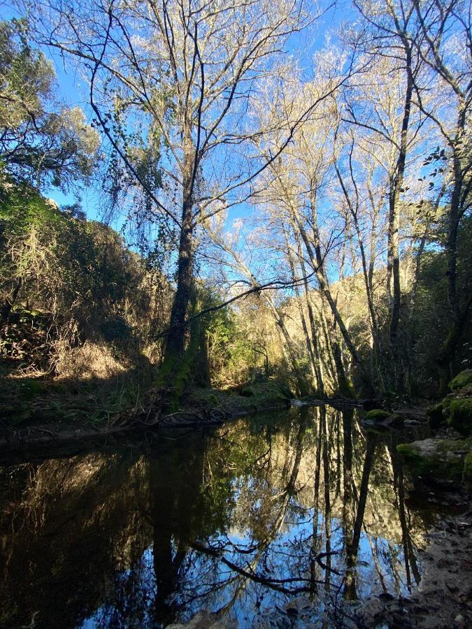 El Rincon De Marcelino Affittacamere Cortelazor Esterno foto